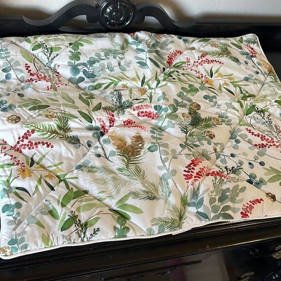 Pottery Barn Teen Noel Botanical Sham standard - Picture 1 of 7